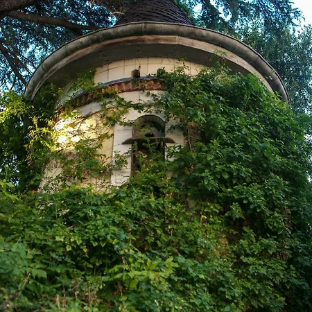 Parc Montrose * Cannes